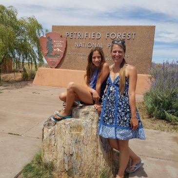 Day 32 . Petrified National Forest & Route 66