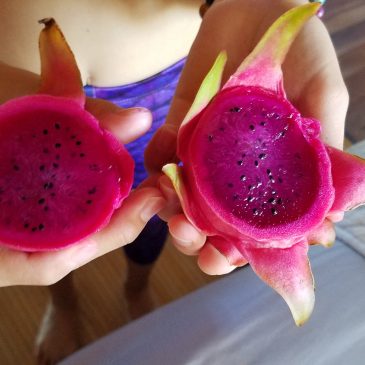 Day 25 . Pink Dragon-fruit and Preparing Packages